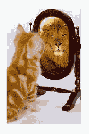    Fit Frame to Content